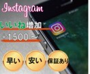 Instagramいいねを1500回増加拡散します インスタグラムいいねを独自の方法で増加します イメージ1