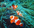 賽銭箱、設置します 御利益はあると･･･思う･･･w イメージ4
