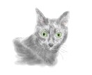 大切な家族の素敵な思い出をイラストで残します 大好きなあの瞬間、あの顔、写真とは違う思い出を残します！ イメージ2