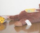 Mなオカメインコが人間の姿であなたを優しく癒します オカメインコが人間の女の子になりました!男性OK イメージ6