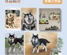 原画をご提供！リアルなペットのパステル画を描きます A5サイズ〜大小様々なサイズに対応します。 イメージ2