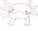 動物.海の生き物のゆるふわアイコンを描きます 9月限定/追加アイテム無料!あなた専用の絵を描きます イメージ1