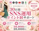 業界初！SNS運用をポイント制支援します Instagram、X等～30日間自由に使えるSNS支援 イメージ1