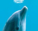 何となく誰かに話を聞いてほしい時、お話伺います あなたの想いをつづってください。すべて受け止めます。 イメージ1