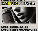 ボーカル音源をいい感じに調整します 楽曲の他、ナレーションボイスでもOK イメージ1