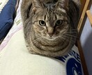 過去に病院に行くほど鬱になっています 今辛いひと、苦しい人、いつでも相談してください。 イメージ3