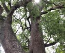 愚痴や悩みを聞きます 愚痴や悩みを吐き出してスッキリしてください。 イメージ1