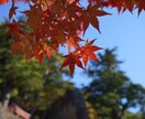 女性限定❗️60分集中・何でもお話し聞きます 恋愛、復縁、仕事、一緒に気持ちを楽にしましょう♪ イメージ3