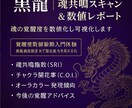 黒龍魂共鳴スキャンで覚醒度数値化レポート作成します 覚醒度数値診断入門体験　黒龍独自測定法で潜在能力を見える化 イメージ2