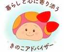 暮らしのモヤモヤを一緒に整理｜ビデオ相談にのります 話しながら暮らしを整える安心相談 イメージ1