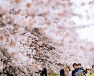 お気に入りの写真、甦らせます お写真のレタッチや余計な写り込みを消します！ イメージ5