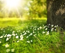 ５分でもOK✨占い師がお話を聴きます まとまらない気持ち、そのままで大丈夫 イメージ6