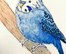 水彩でペットさま動物さまをお描きいたします 世界に１つだけ☆あなたの大好きな子を手描きでお描きします☆ イメージ2