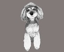 ミニチュアシュナウザーの似顔絵を描きます ミニシュナと暮らす犬絵師が、写真から似顔絵を描きます イメージ2