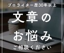 プロライターが「文章のお悩み」に全力でお答えします ★文章のコツやルール等、「書く人」の課題解決をお手伝い★ イメージ1