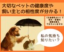 長生きしてほしい！気になるペットの健康度を占います ペットと一緒に幸せな日々を過ごすための「特別な占い」です☆ イメージ4