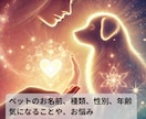 ペットと飼い主様の心の絆を深めます 霊感霊視×七占術でペットと飼い主様の心に癒しを！ イメージ6