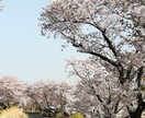 人間関係を豊かにする相談承ります 妻、母、嫁、祖母、であり現役営業職をこなすスーパーウーマン イメージ3