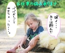 ホロスコープ鑑定！1年間の運勢をタロットで告げます 即納★50%off！今後12ヶ月間の流れを予知宣告いたします イメージ7
