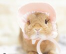 あなたの心に寄り添います あなたのお悩みが解決するまでお力添えさせてください！ イメージ1