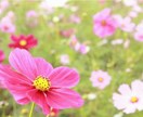 どんな愚痴でも聞きます 誰かに話を聞いてもらうと楽になることがありますよね イメージ1