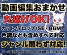 動画編集します！字幕やSE対応します 心を込めてあなたの動画を''見やすく魅力的に''仕上げます イメージ1
