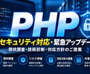 PHP関連の緊急対応の相談（2回パック）を受付ます 今回の脆弱性についてのコンサルティングとお見積りになります イメージ1