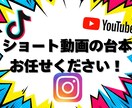 集客・採用を狙う！ショート動画台本作成します 運用方法に合わせたTikTokの台本を作成いたします イメージ1