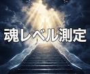 11 : 貴方の現世での魂レベルの成長度合を視ます 現在の魂レベル（霊格）を10次高次元の波動で測定します イメージ1