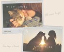 ペット(犬猫)アニマルヒーリングで体調を整えます オーダーメイドヒーリングで穏やかで元気な日常をサポートします イメージ7