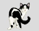 ご自宅で飼われているネコちゃんのイラストを描きます お気に入りの写真をイラスト風に作成しませんか？ イメージ1