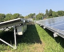 産業用低圧太陽光発電所の除草作業を行います 年3回、都度写真報告付きなので安心です イメージ7