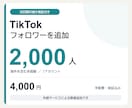 20日【減少保証付き】フォロワーを増やします TikTok・2,000人／4,000円 イメージ1