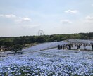 ありとあらゆる愚痴悩み相談を聞きます 人に悩みに大きも小さいもない！ イメージ1