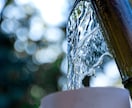 都内にて写真撮影代行致します 関東近郊にて写真撮影代行致します。 イメージ3
