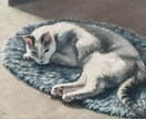 残したいペットの姿を油絵キャンバス原画で届けます 油絵の深みとリアルな描写で家族記念やプレゼントを制作。 イメージ3