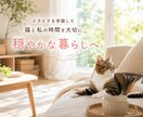 楽になる！40代からの猫との暮らしイライラ聞きます 毛、ニオイ、散らかりの悩みをついで掃除で解決 イメージ3
