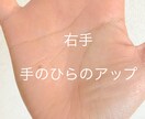 前向きになっていただける手相鑑定をお届けします 【鑑定実績400名以上】見やすい写真と、温かい文章でのお伝え イメージ6