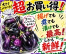 訳ありB品野菜・果物の売れる販促POPを制作します 見た目じゃない！美味しさを伝える訳ありB品POP制作 イメージ2