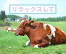 一言でも大丈夫！あなたの気持ちお聞きします 優しく、穏やかに寄り添います。どんな些細なことでも大丈夫！ イメージ3