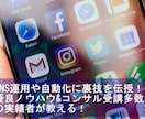 期間限定格安！SNSの運用方法をアドバイスします 複数SNSの運用・自動化のノウハウをお教えします！！ イメージ1