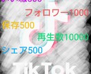 tiktok増加セットで支援します フォロワー数、いいね、シェア、保存、再生数の5つセットです イメージ1
