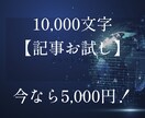 1万字のSEO記事をお試し5千円で作成します 上位化事例多数のSEOコンサルが作成する質の高い記事です イメージ1