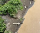 15カ国旅した世界中の写真提供します 他の国もたくさんあるので是非お声掛けください。 イメージ7