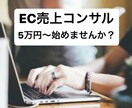楽天やYahoo等のEC売上戦略コンサルします 5万円〜始められる!楽天やYahoo、Amazonコンサル! イメージ1