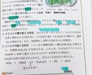 生物基礎、化学基礎を分かりやすく教えます 出来ないことをできるようにしたい イメージ1