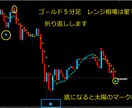 FXで専業しておりますデイレ－ドになります リニューアルいたしました、ゴールド専用です イメージ10