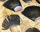 日本料理、寿司、和食全般料理作ります 現役広島流川の日本料理店の板前が料理を教え作ります！ イメージ3
