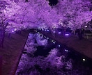 ゆるく雑談・お話聞きます 友達みたいにゆるくお話聞きます◎ イメージ2