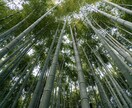 2026年令和8年上半期の運気を霊視鑑定します 今年こそ幸運を掴む！運命の転機と好転月を霊視で詳述 イメージ3